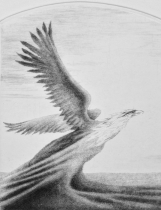 (14) wzlot internet.JPG